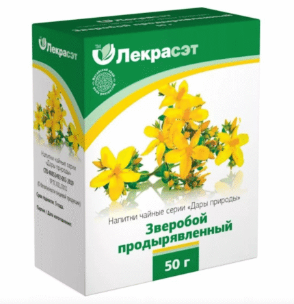 Зверобой продырявленный