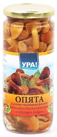 Honey mushrooms in salted garlic brine